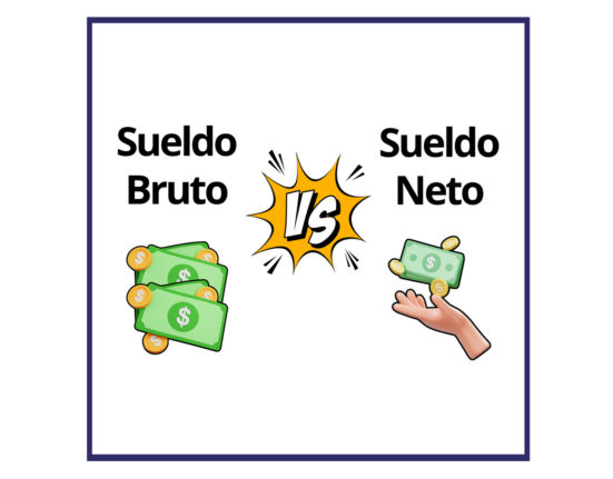 bruto y neto