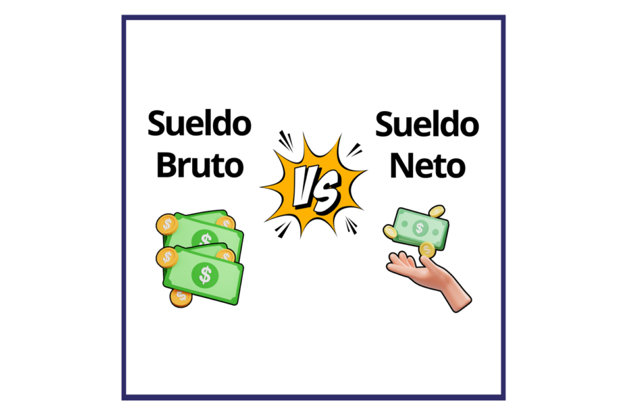 bruto y neto